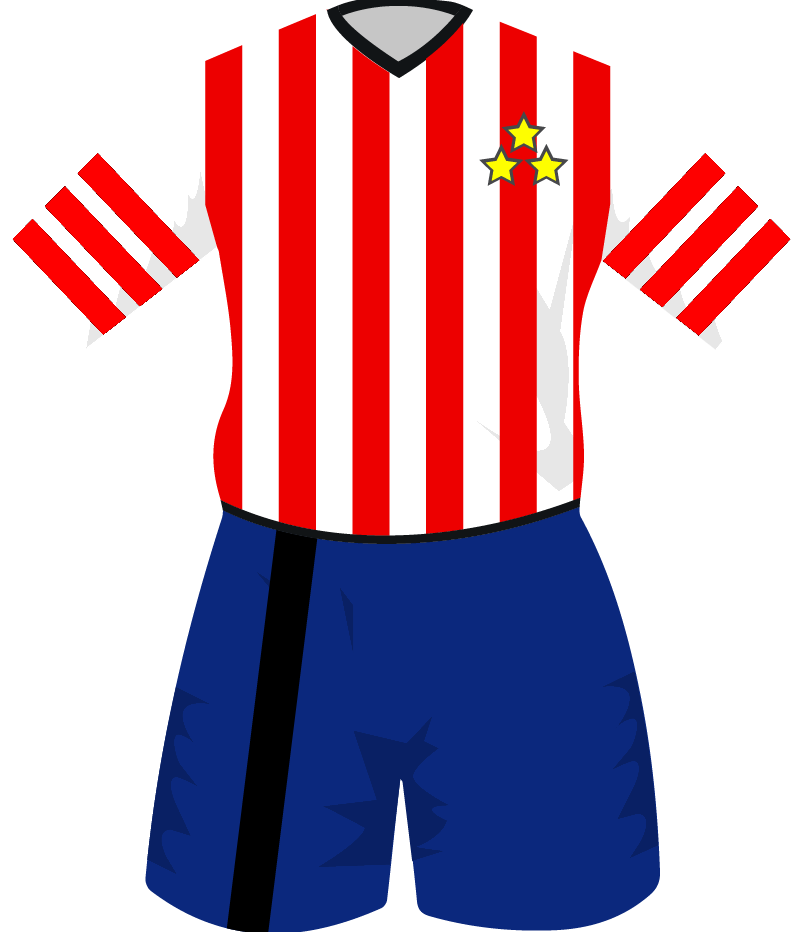 maglietta