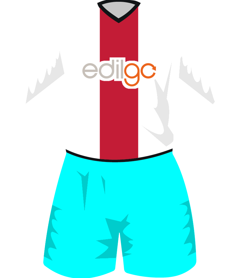 maglietta
