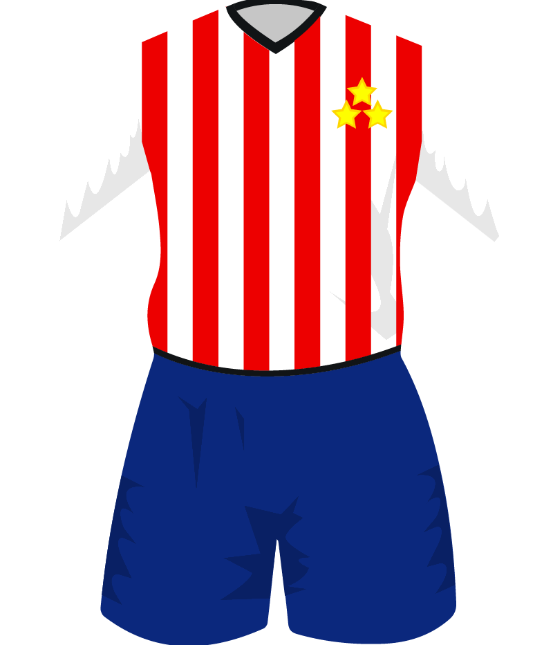 maglietta