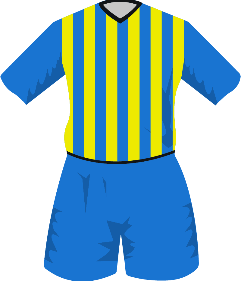 maglietta