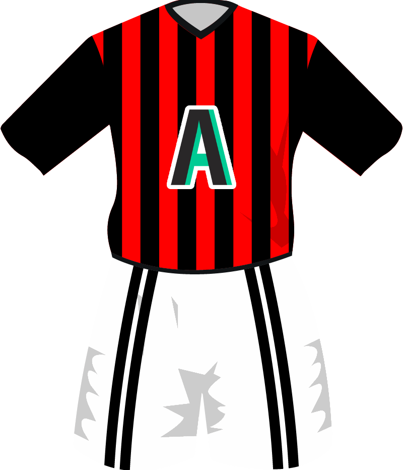 maglietta