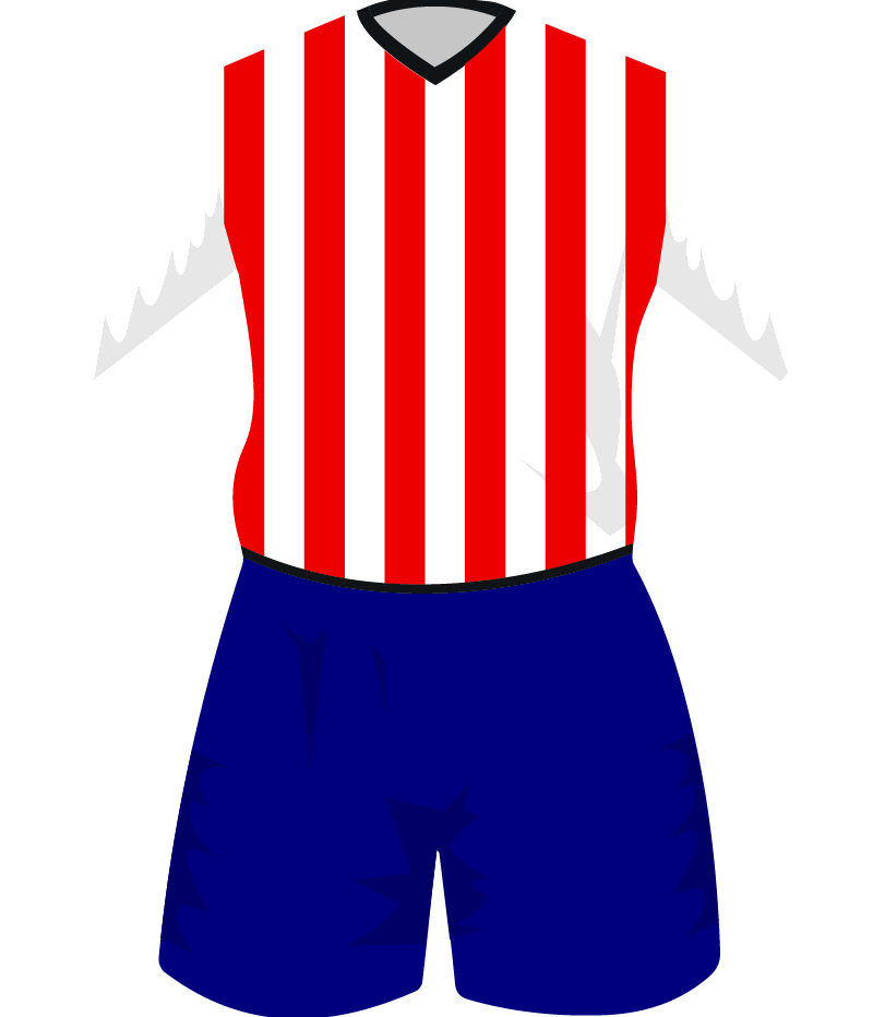 maglietta