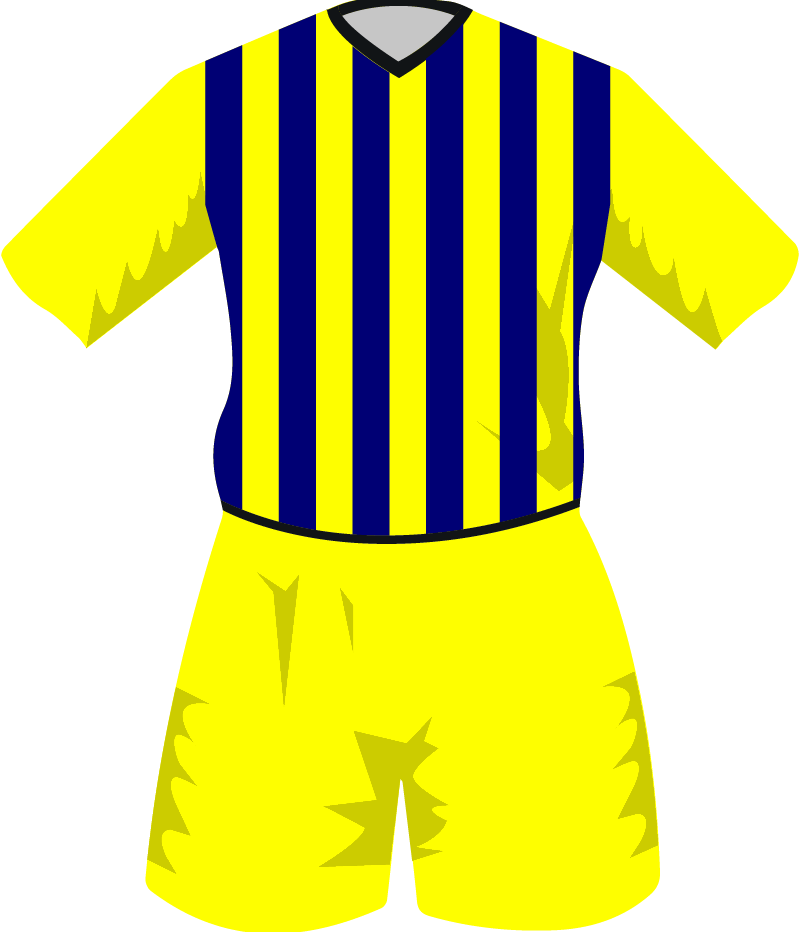 maglietta