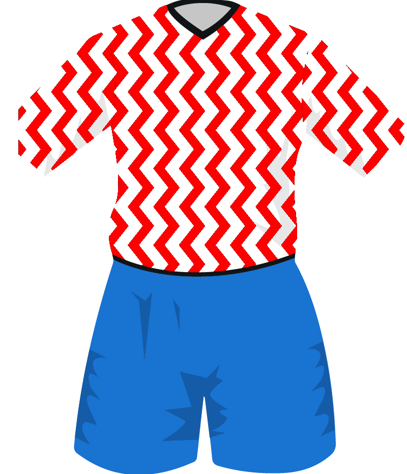 maglietta