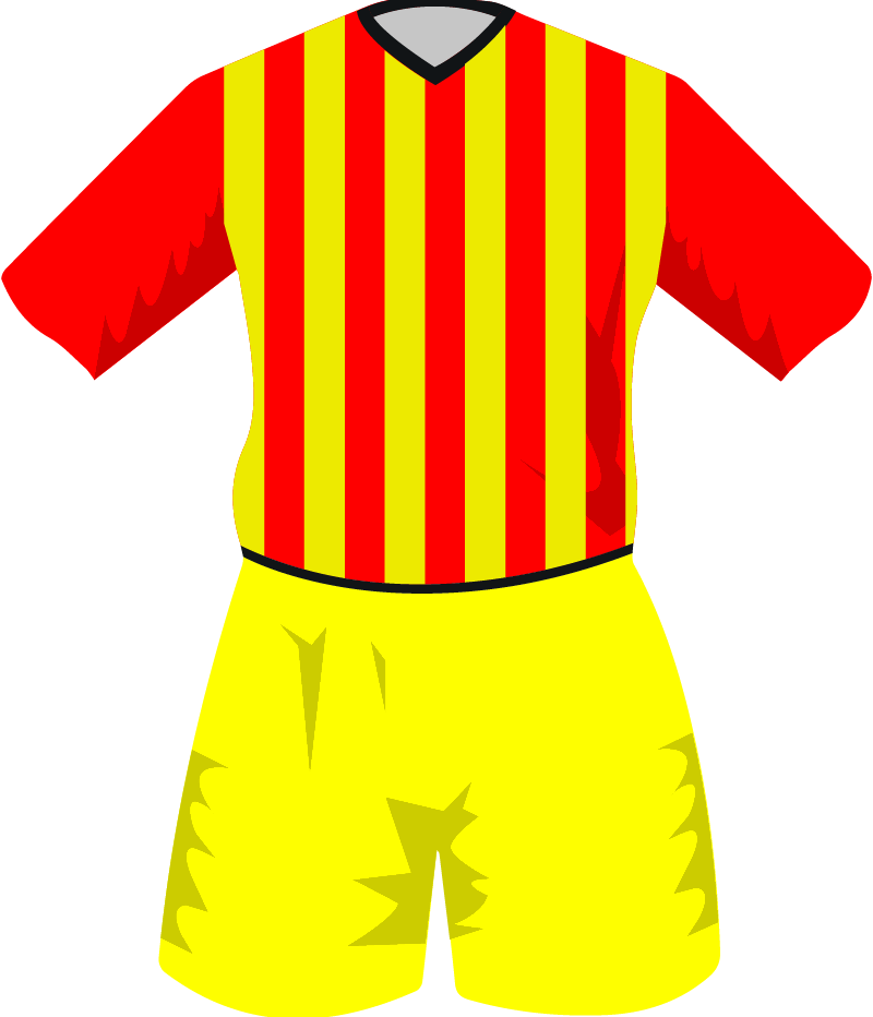 maglietta