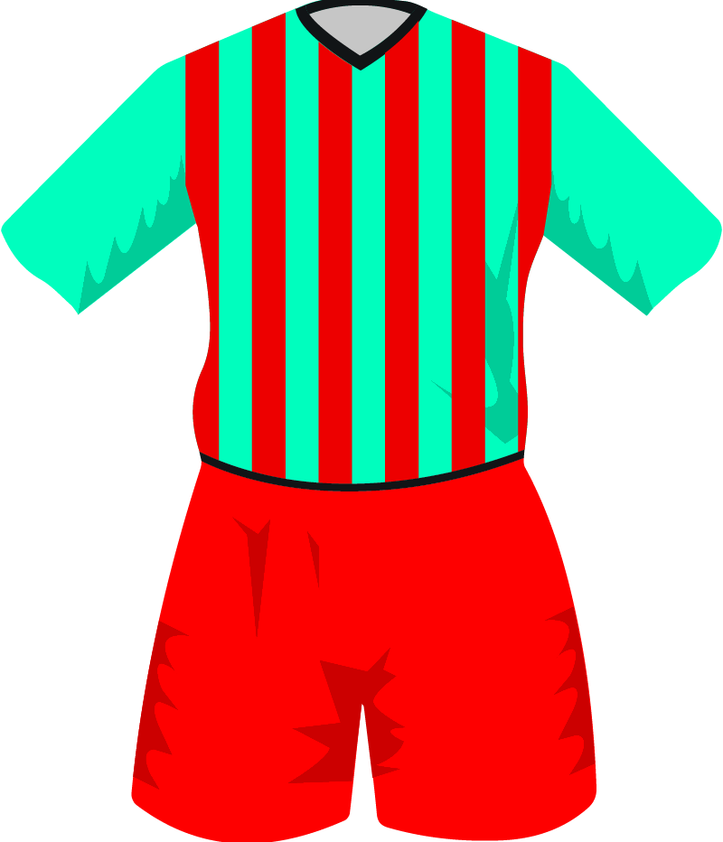 maglietta