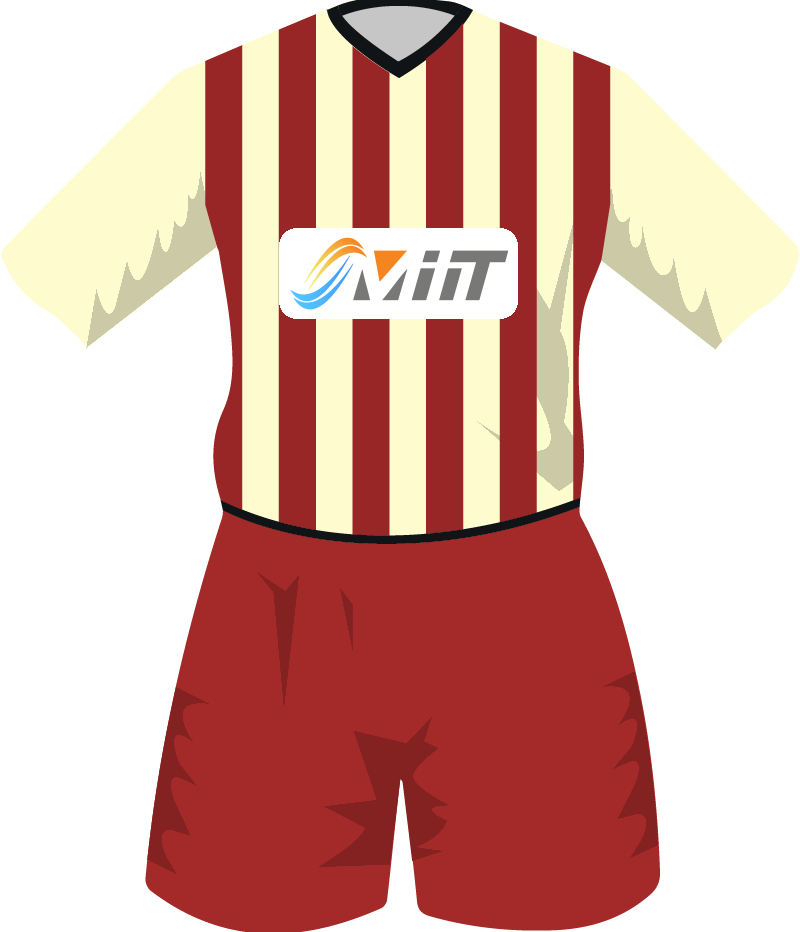 maglietta
