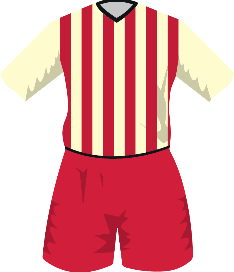 maglietta