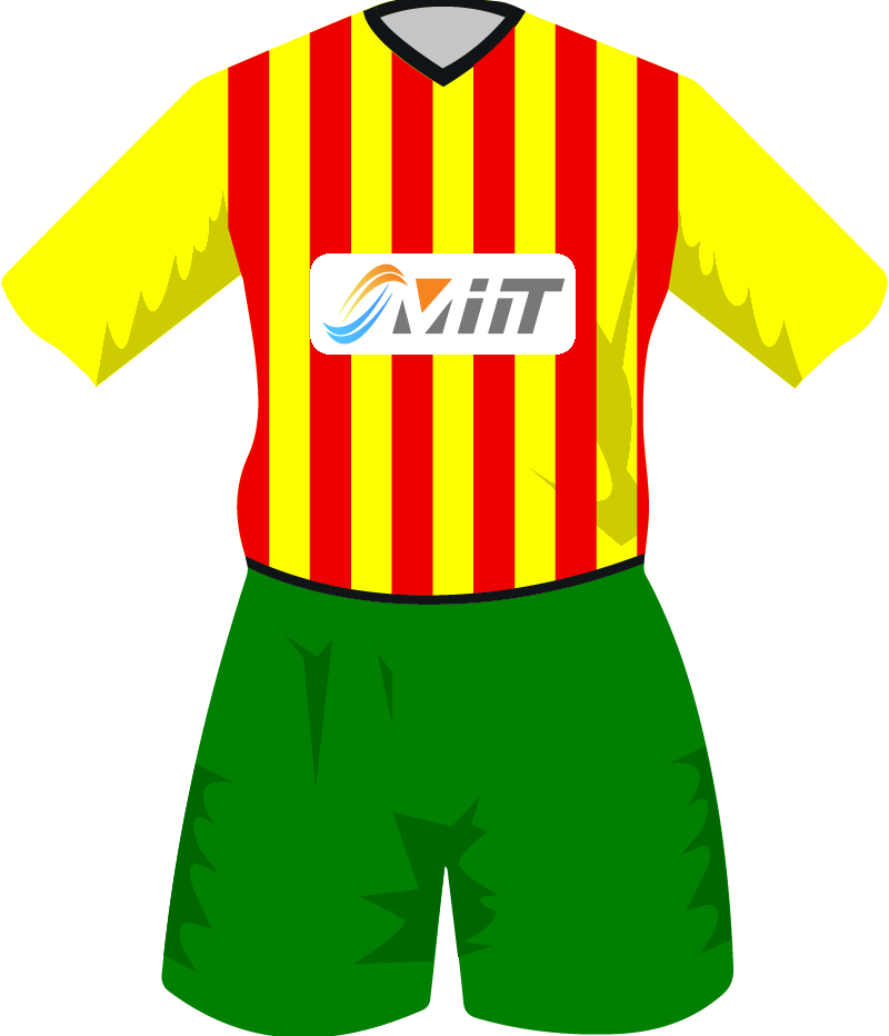 maglietta