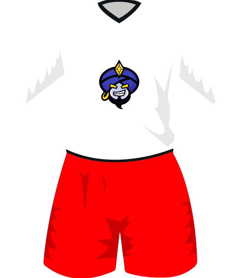 maglietta
