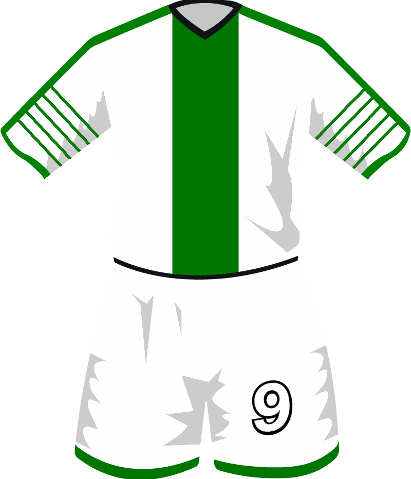 maglietta