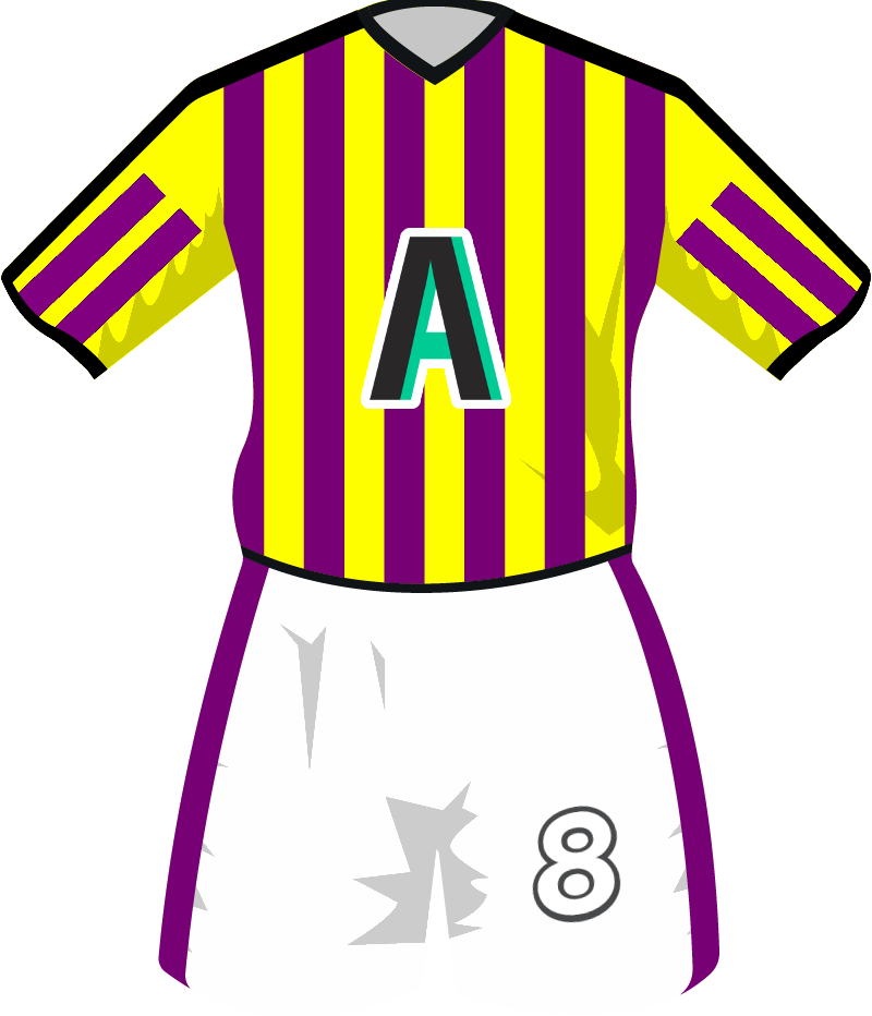 maglietta