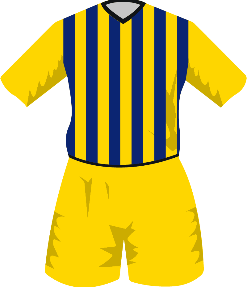 maglietta
