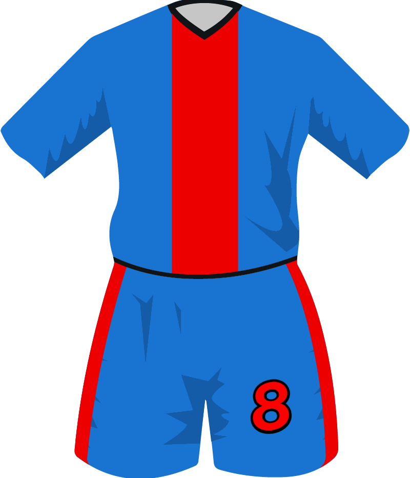 maglietta