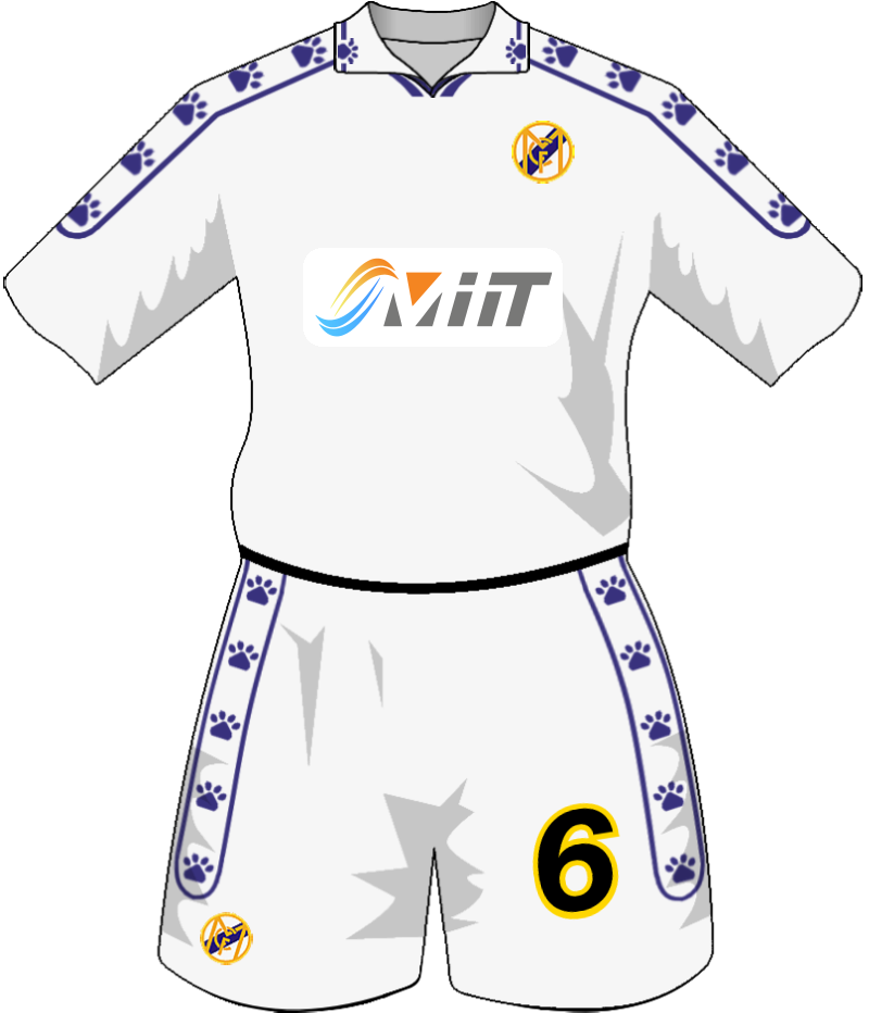 maglietta