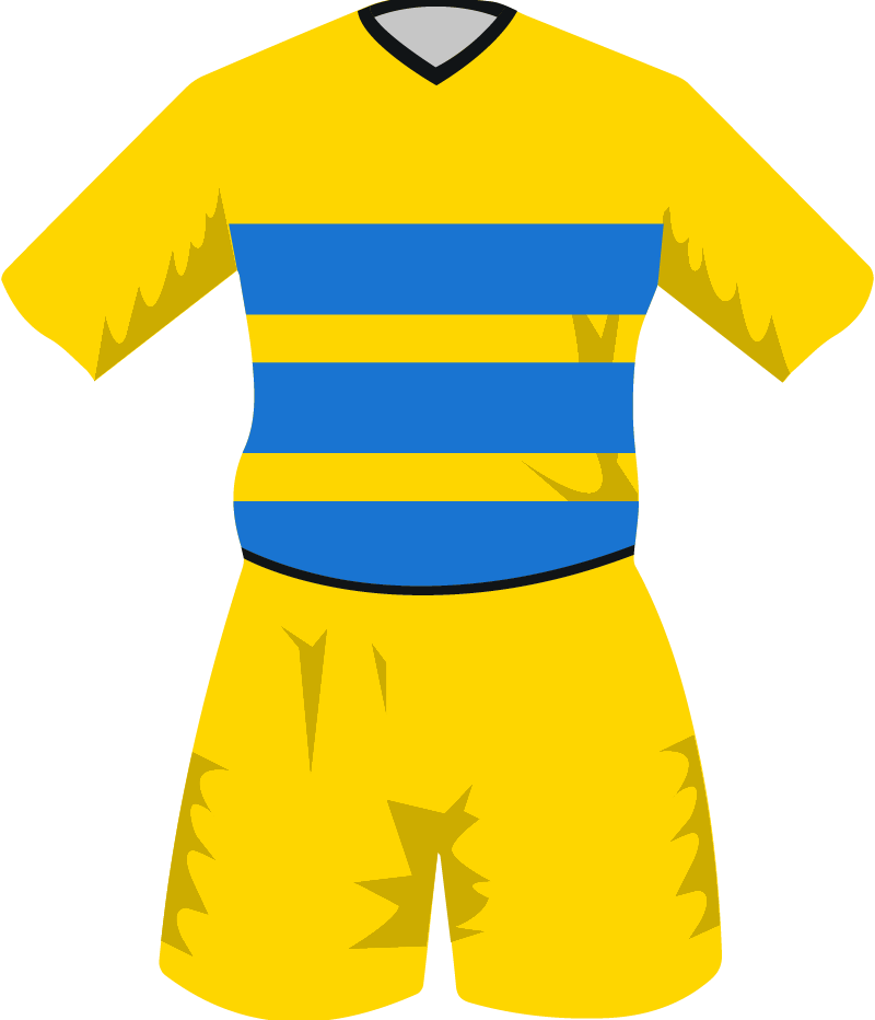 maglietta