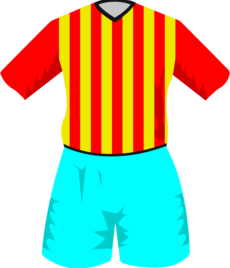 maglietta