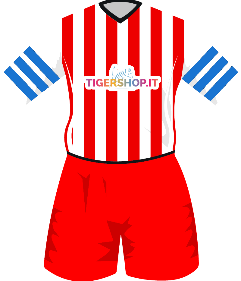 maglietta