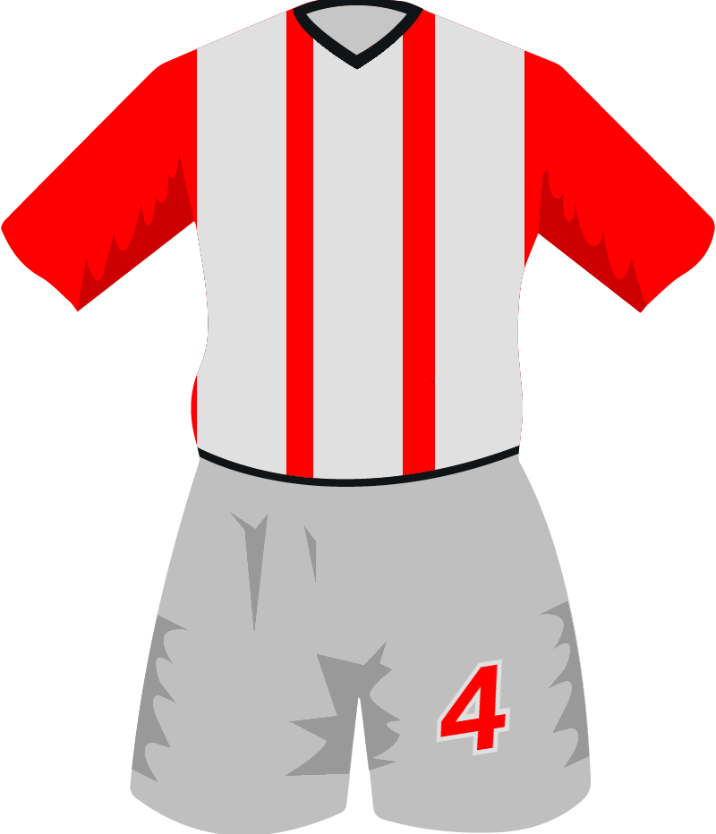 maglietta