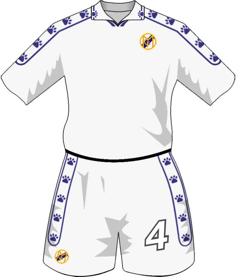 maglietta