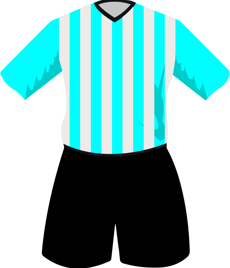 maglietta