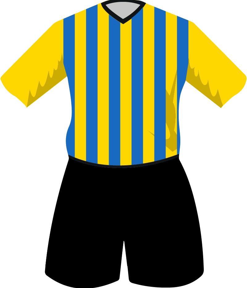 maglietta
