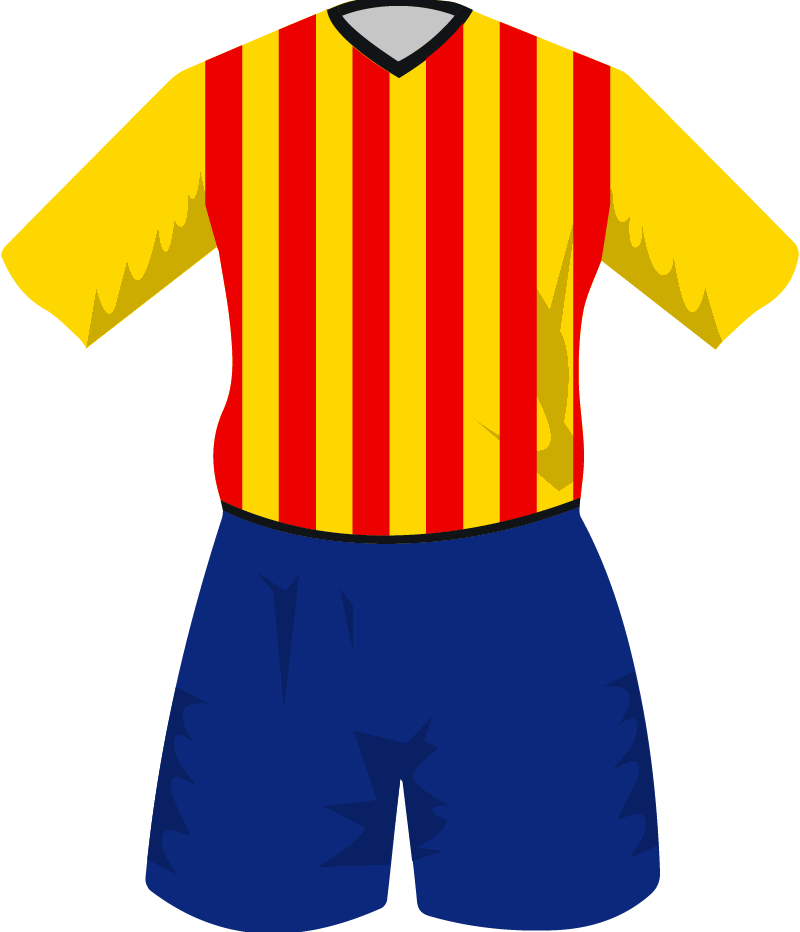 maglietta