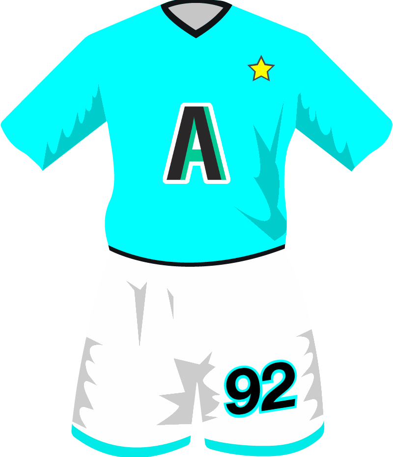 maglietta
