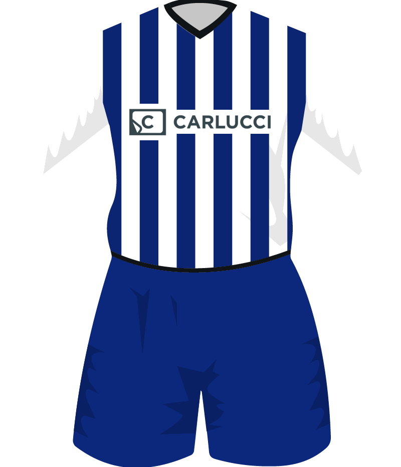 maglietta