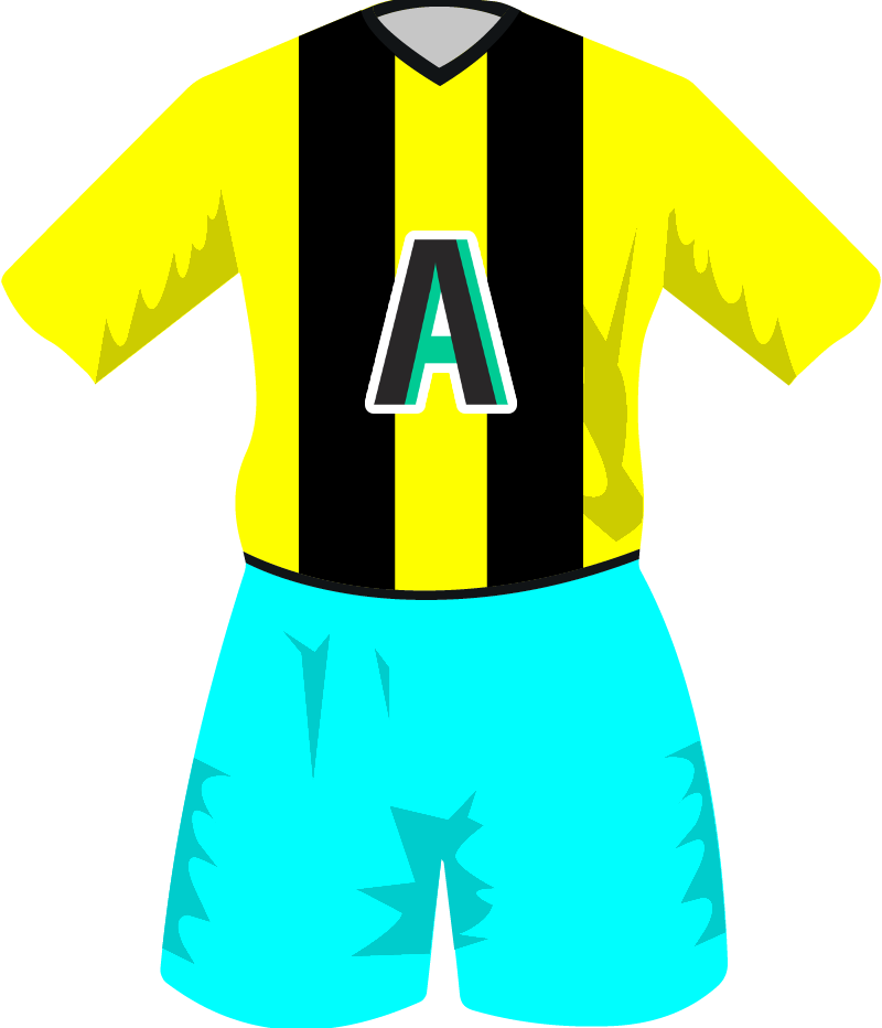 maglietta