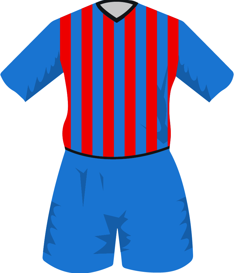 maglietta