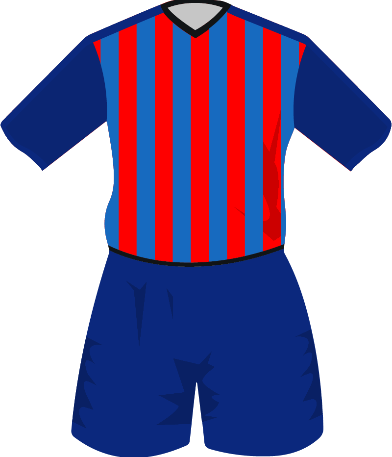 maglietta