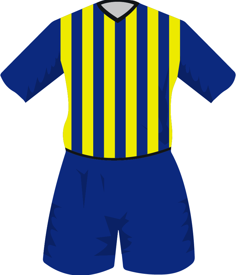 maglietta