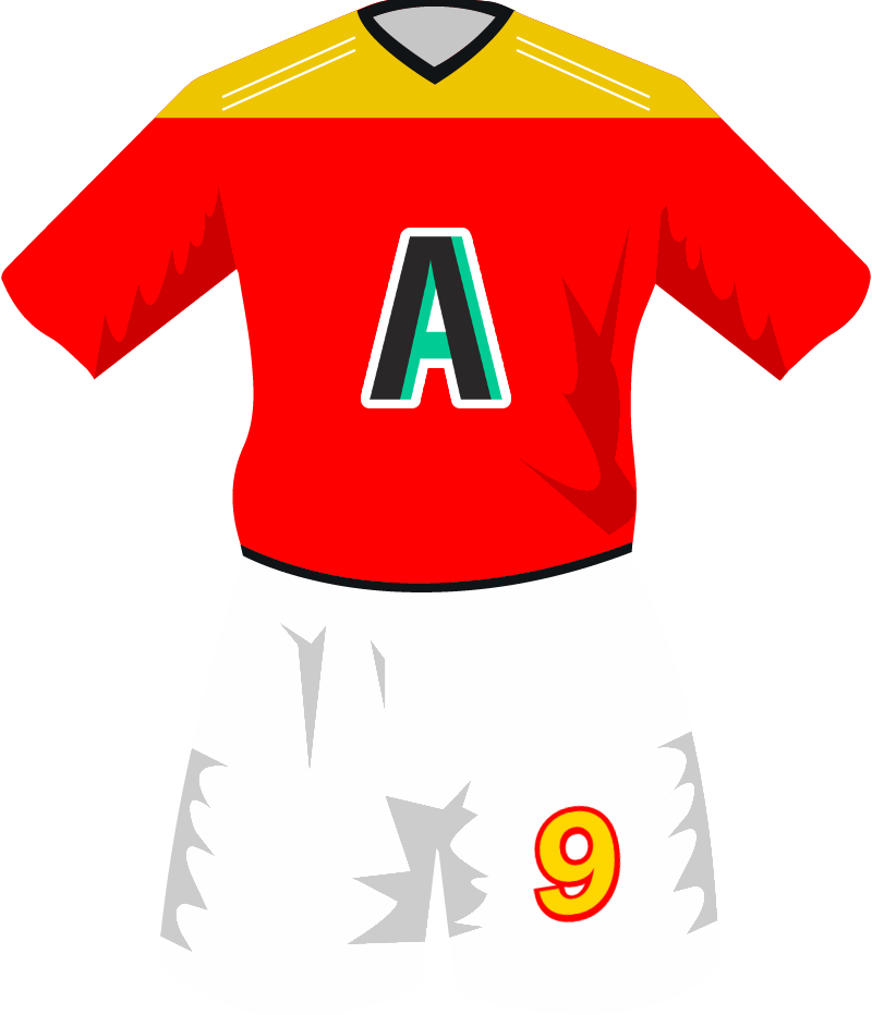 maglietta