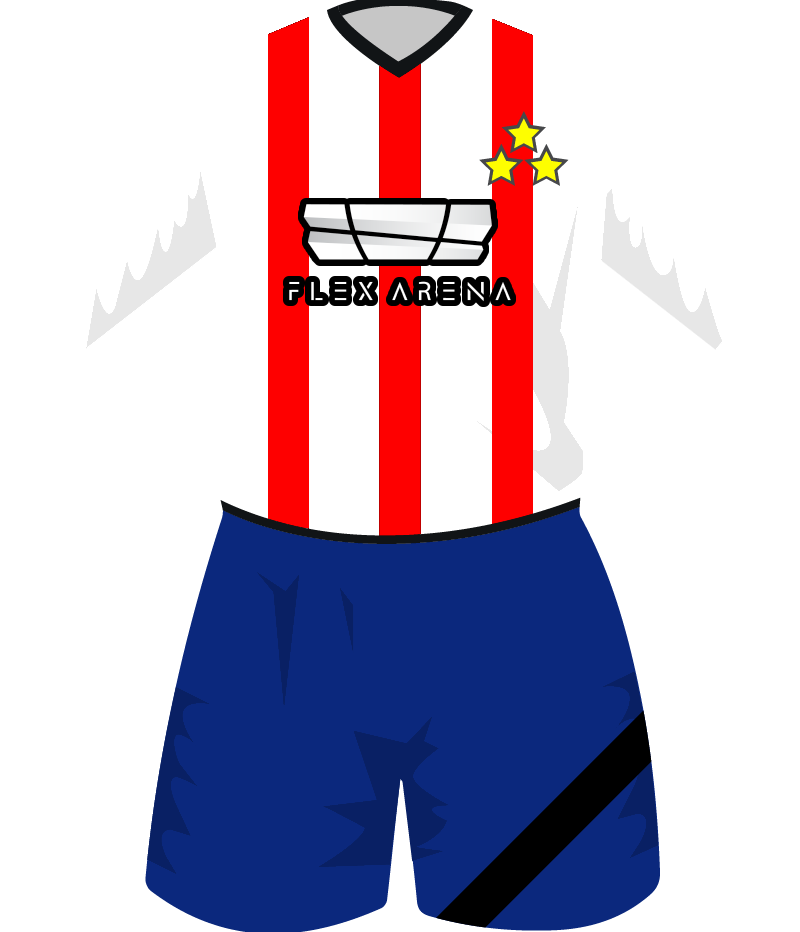 maglietta