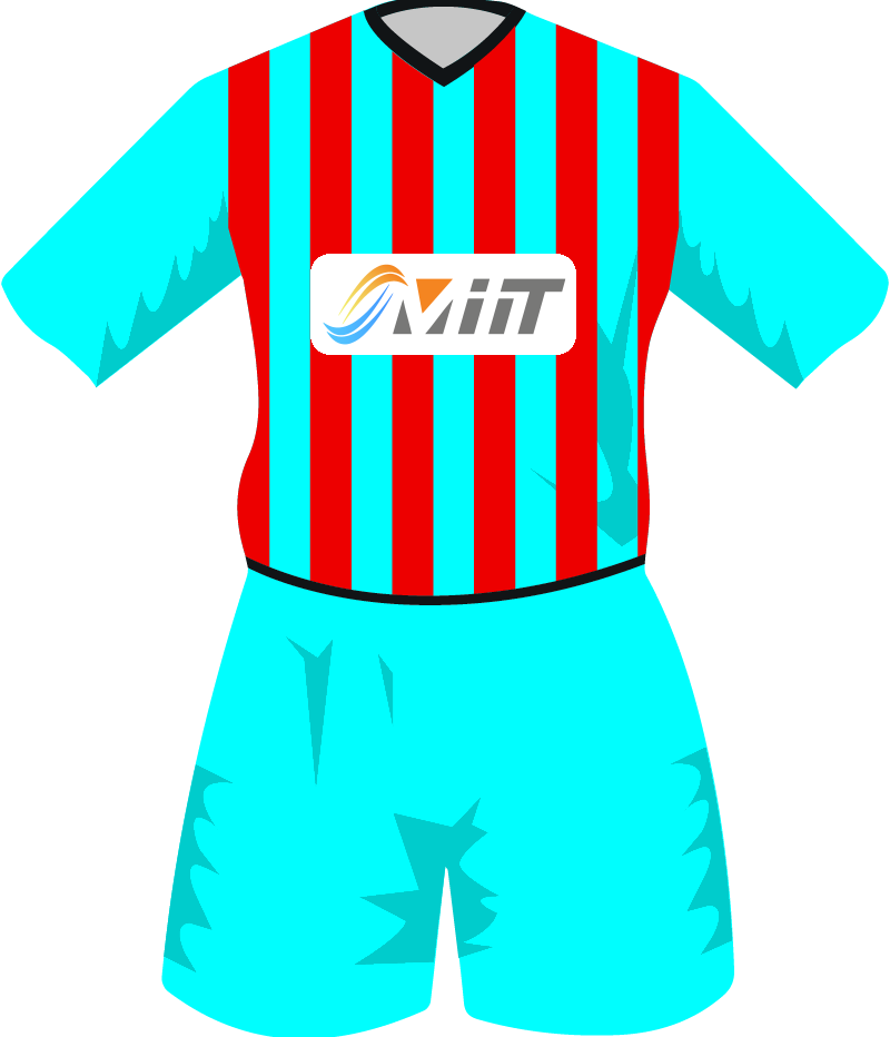 maglietta