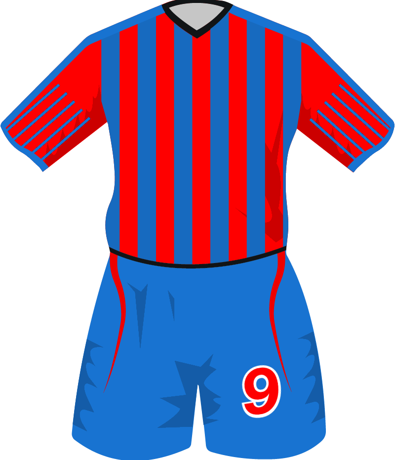 maglietta