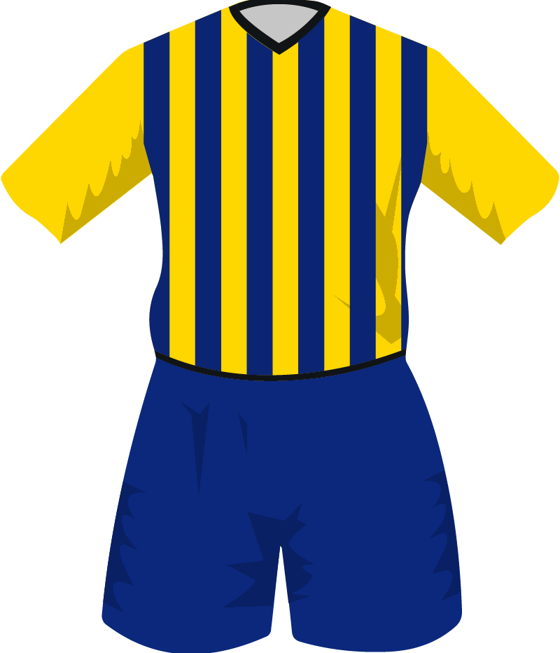 maglietta