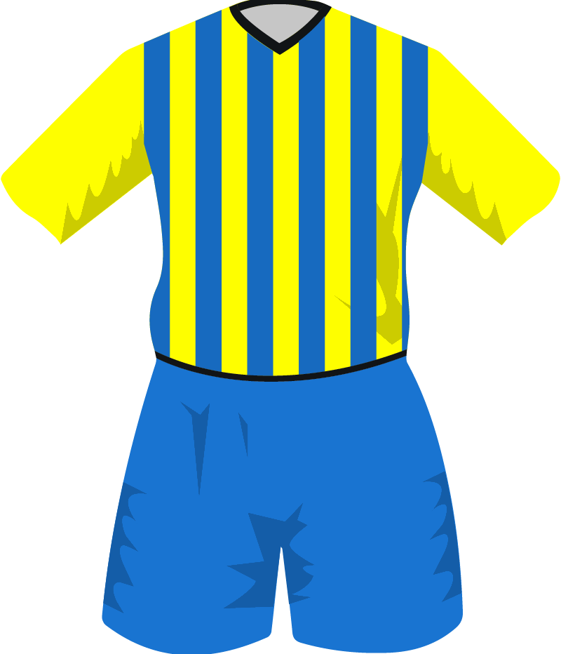 maglietta