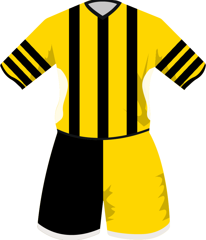 maglietta