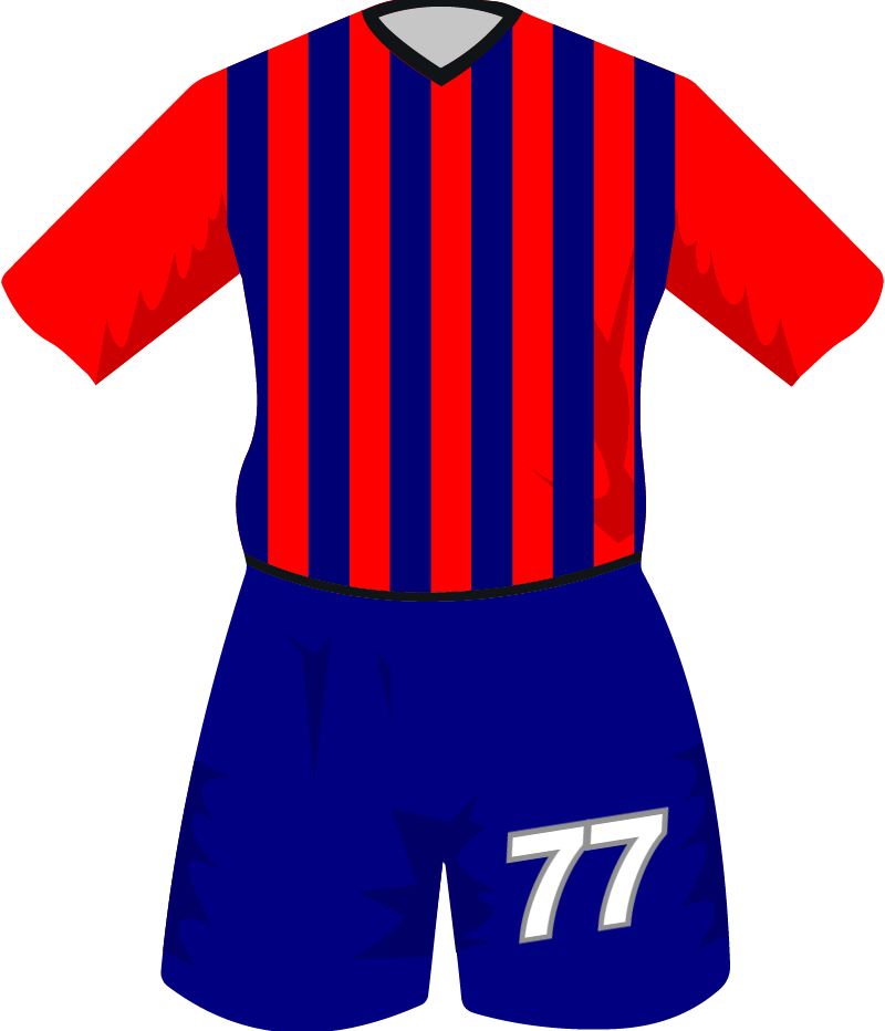 maglietta